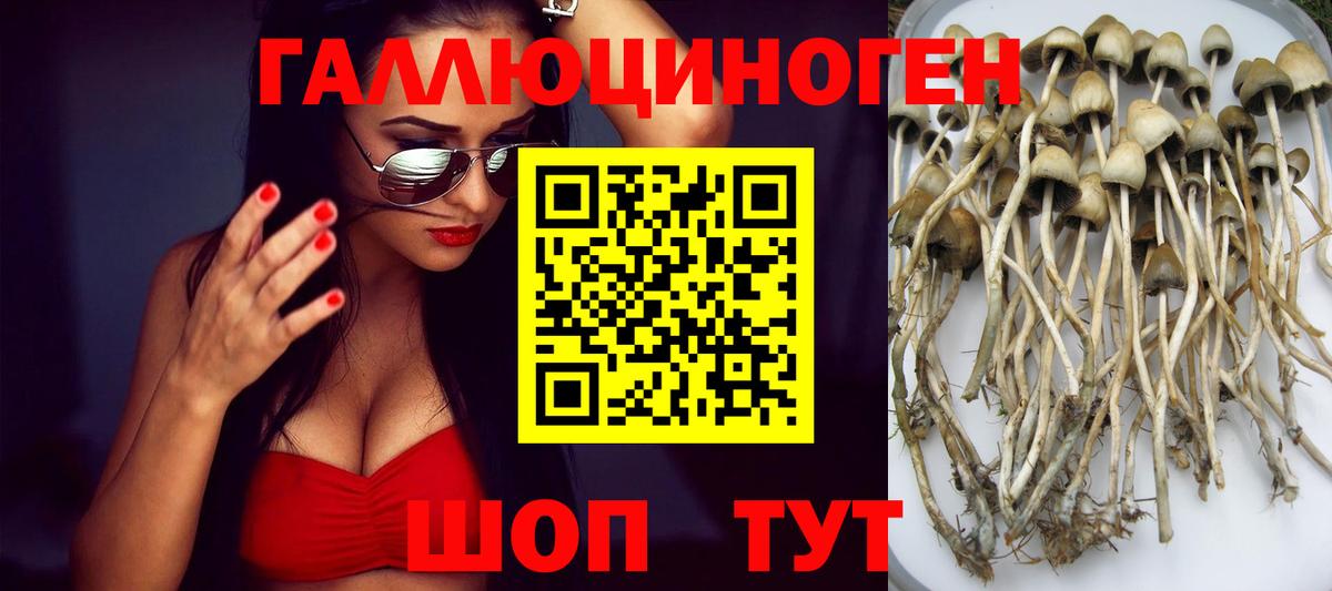 Добрянка  Галлюциногенные грибы Psilocybine cubensis  Вход с VPN 