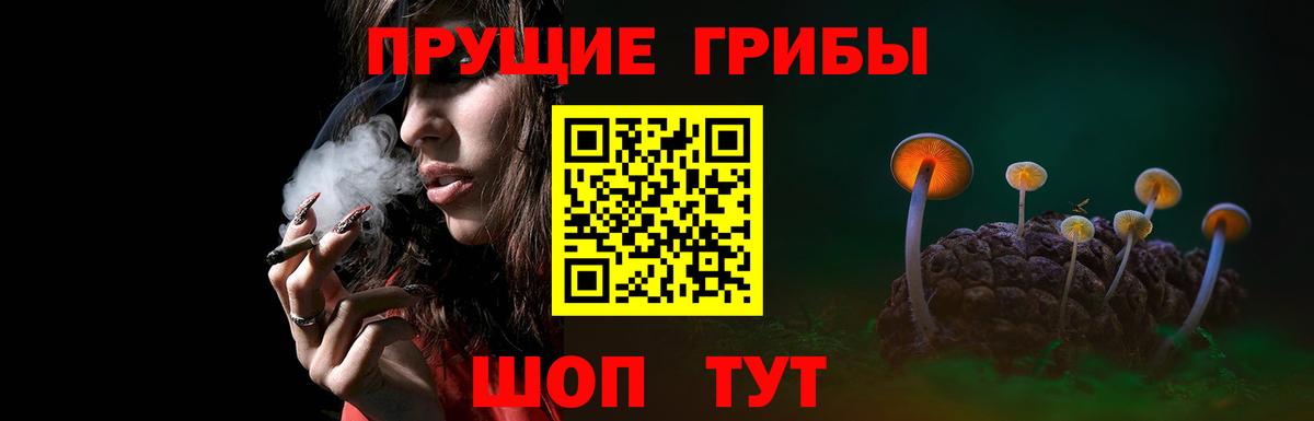 Псилоцибиновые грибы мицелий Добрянка